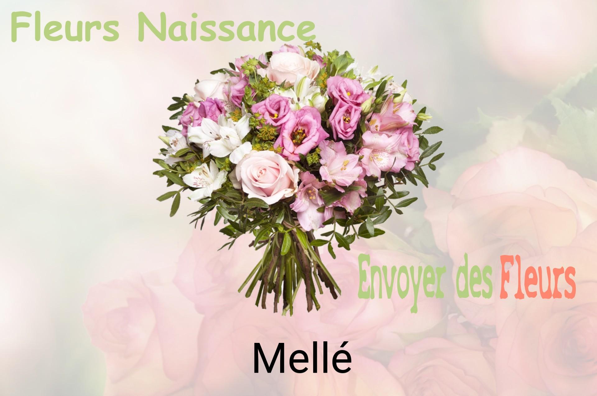 Bouquet de fleurs de naissance livré à Mellé